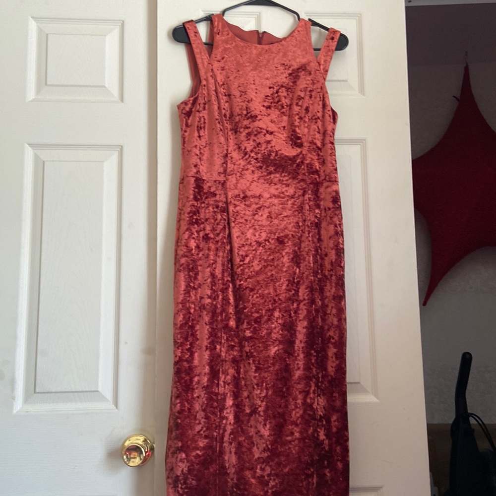 Crushed Velvet Dress - Picture 1 of 2